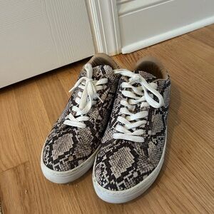 Steve Madden Sneakers
